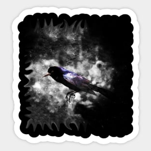 The Lonesome Purple Feathered Bird in the Mist Sticker